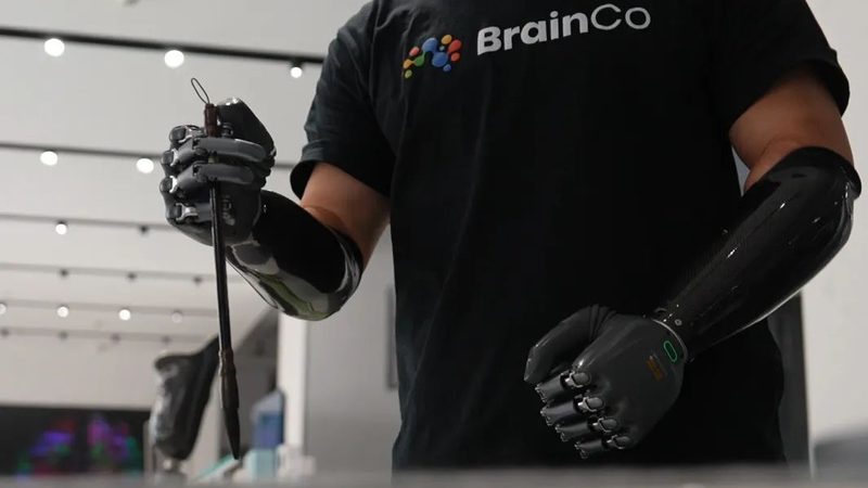 成都软件测试公司招聘要求揭秘：技能与素质双重要